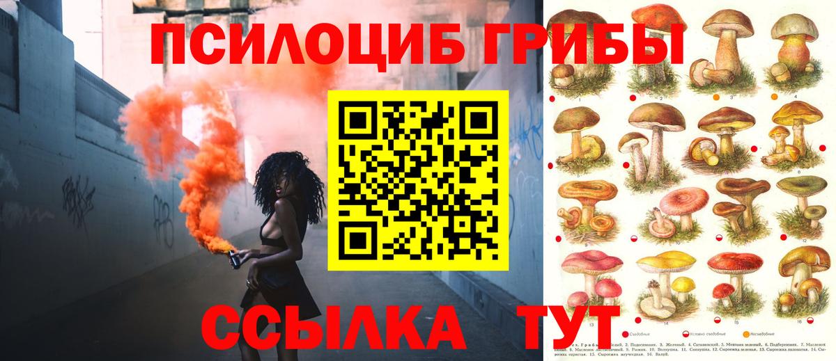 Псилоцибиновые грибы Magic Shrooms  что такое наркотик  Владикавказ  Вход с VPN 