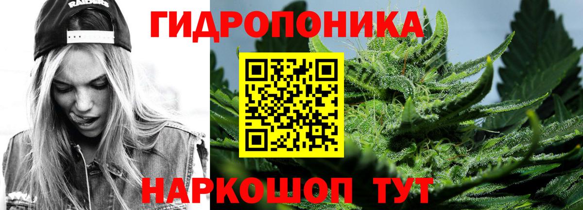 Бошки марихуана THC 21%  Шишки марихуана VHQ  Вход с VPN  Канабис тримм  Владикавказ 
